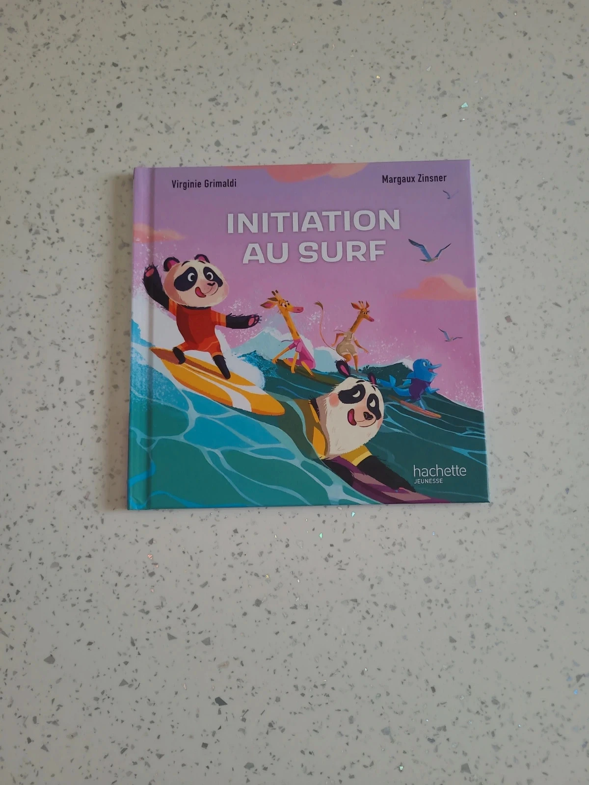 Livre Mcdo Initiation au Surf